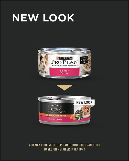 Purina Pro Plan Adult Salmon Entree in Sauce Canned Cat Food 2 Purina Pro Plan Adult Salmon Entree in Sauce Canned Cat Food - Image 2