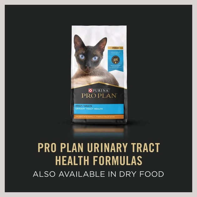 Purina Pro Plan Focus Adult Urinary Tract Health Formula with Salmon Classic Canned Cat Food 7 Purina Pro Plan Focus Adult Urinary Tract Health Formula with Salmon Classic Canned Cat Food - Image 7