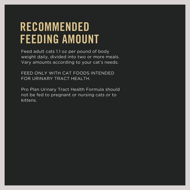 Purina Pro Plan Focus Adult Urinary Tract Health Formula with Salmon Classic Canned Cat Food 8 Purina Pro Plan Focus Adult Urinary Tract Health Formula with Salmon Classic Canned Cat Food - Image 8