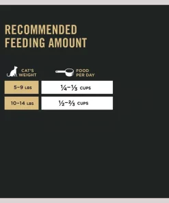 Purina Pro Plan Prime Plus Adult 7+ Chicken & Rice Formula Dry Cat Food 17 Purina Pro Plan Prime Plus Adult 7+ Chicken & Rice Formula Dry Cat Food -Elanco Sales 111101 PT8. SY630 V1649204244