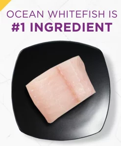 Purina Pro Plan Prime Plus Adult 7+ Ocean Whitefish & Salmon Entree Classic Canned Cat Food -Elanco Sales 111105 PT4. SY630 V1636670493