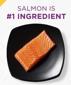 Purina Pro Plan Prime Plus Adult 7+ Salmon & Tuna Entree Classic Canned Cat Food 11 Purina Pro Plan Prime Plus Adult 7+ Salmon & Tuna Entree Classic Canned Cat Food -Elanco Sales 111107 PT2. SY630 V1585863093