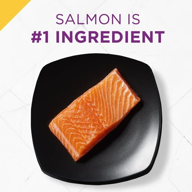 Purina Pro Plan Prime Plus Adult 7+ Salmon & Tuna Entree Classic Canned Cat Food 3 Purina Pro Plan Prime Plus Adult 7+ Salmon & Tuna Entree Classic Canned Cat Food - Image 3