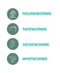 Elanco Quad Dewormer for Hookworms, Roundworms, Tapeworms & Whipworms for Small Breed Dogs 12 Elanco Quad Dewormer for Hookworms, Roundworms, Tapeworms & Whipworms for Small Breed Dogs -Elanco Sales 112340 PT5. SY630 V1561554419