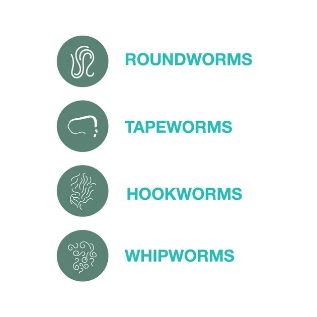 Elanco Quad Dewormer for Hookworms, Roundworms, Tapeworms & Whipworms for Small Breed Dogs 5 Elanco Quad Dewormer for Hookworms, Roundworms, Tapeworms & Whipworms for Small Breed Dogs - Image 5