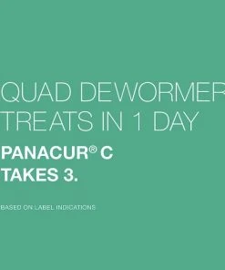 Elanco Quad Dewormer for Hookworms, Roundworms, Tapeworms & Whipworms for Small Breed Dogs 13 Elanco Quad Dewormer for Hookworms, Roundworms, Tapeworms & Whipworms for Small Breed Dogs -Elanco Sales 112340 PT6. SY630 V1561554419
