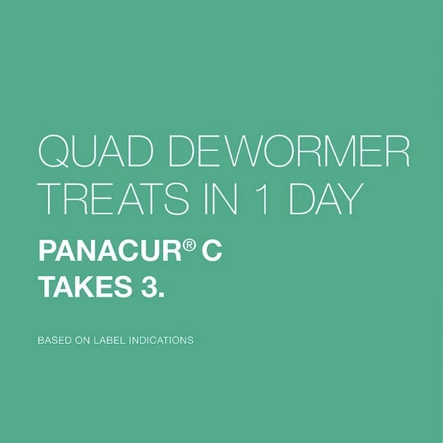 Elanco Quad Dewormer for Hookworms, Roundworms, Tapeworms & Whipworms for Small Breed Dogs 6 Elanco Quad Dewormer for Hookworms, Roundworms, Tapeworms & Whipworms for Small Breed Dogs - Image 6