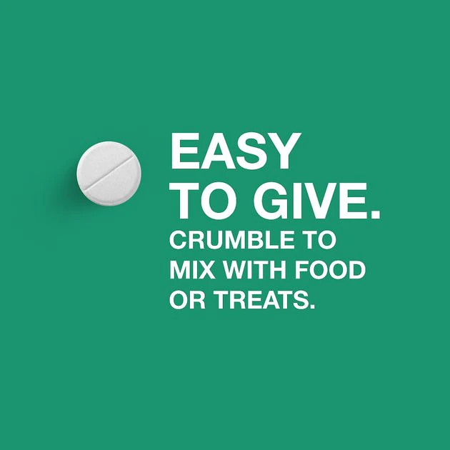 Elanco Dewormer for Tapeworms for Cats 7 Elanco Dewormer for Tapeworms for Cats - Image 7