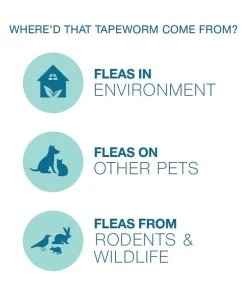 Elanco Dewormer for Tapeworms for Dogs -Elanco Sales 112344 PT3. SY630 V1561554152