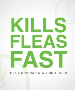 Advantus Flea Oral Treatment for Dogs, 23-110 lbs -Elanco Sales 112349 PT4. SY630 V1561554173