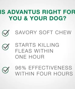 Advantus Flea Oral Treatment for Dogs, 23-110 lbs -Elanco Sales 112349 PT6. SY630 V1561554175