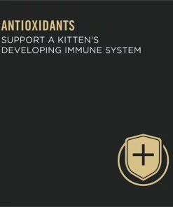 Purina Pro Plan Focus Kitten Favorites Variety Pack Canned Cat Food 13 Purina Pro Plan Focus Kitten Favorites Variety Pack Canned Cat Food -Elanco Sales 116620 PT4. SY630 V1643840823