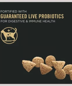 Purina Pro Plan Kitten Chicken & Egg Formula Grain-Free Kitten Food 10 Purina Pro Plan Kitten Chicken & Egg Formula Grain-Free Kitten Food -Elanco Sales 127793 PT3. SY630 V1598037979