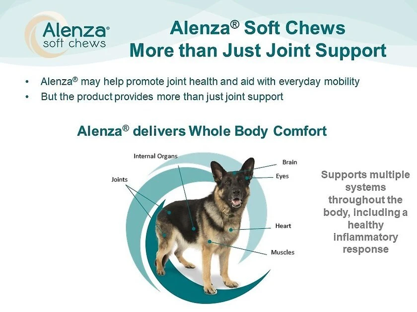 Alenza Soft Chews Whole Body Comfort Chicken Flavor Dog Supplement 6 Alenza Soft Chews Whole Body Comfort Chicken Flavor Dog Supplement - Image 6