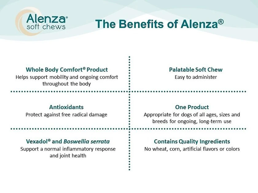 Alenza Soft Chews Whole Body Comfort Chicken Flavor Dog Supplement 8 Alenza Soft Chews Whole Body Comfort Chicken Flavor Dog Supplement - Image 8