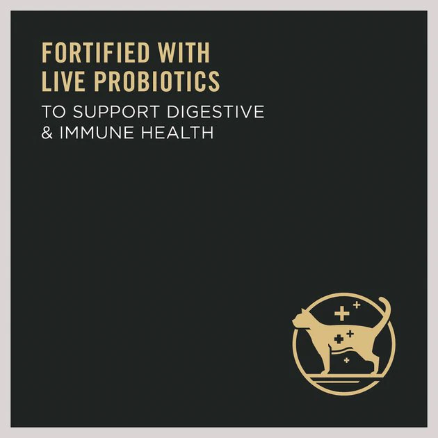 Purina Pro Plan Indoor Hairball Management Shredded Blend Turkey & Rice Formula Dry Cat Food 5 Purina Pro Plan Indoor Hairball Management Shredded Blend Turkey & Rice Formula Dry Cat Food - Image 5