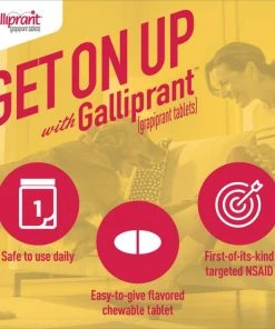 Galliprant Tablets for Dogs -Elanco Sales 146132 PT7. SY630 V1603958555