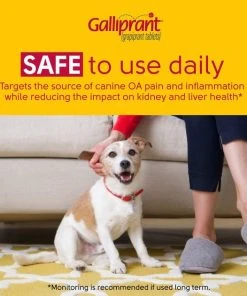 Galliprant Tablets for Dogs -Elanco Sales 146132 PT8. SY630 V1603932096