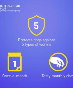 Interceptor Plus Chew for Dogs, 50.1-100 lbs, (Blue Box) -Elanco Sales 146142 PT6. SY630 V1578430460