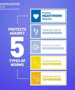 Interceptor Plus Chew for Dogs, 50.1-100 lbs, (Blue Box) -Elanco Sales 146142 PT7. SY630 V1578430414