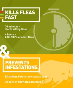 Trifexis Chewable Tablet for Dogs, 5-10 lbs, (Magenta Box) 16 Trifexis Chewable Tablet for Dogs, 5-10 lbs, (Magenta Box) -Elanco Sales 146165 PT7. SY630 V1603342051