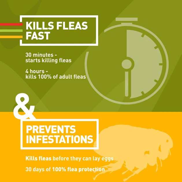 Trifexis Chewable Tablet for Dogs, 5-10 lbs, (Magenta Box) 8 Trifexis Chewable Tablet for Dogs, 5-10 lbs, (Magenta Box) - Image 8