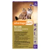 Advantage Multi Topical Solution for Cats, 9.1-18 lbs, (Purple Box)