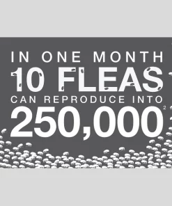 Advantage Multi Topical Solution for Dogs, 9.1-20 lbs, (Teal Box) -Elanco Sales 146316 PT5. SY630 V1561554167