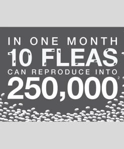 Advantage Multi Topical Solution for Dogs, 20.1-55 lbs, (Red Box) 13 Advantage Multi Topical Solution for Dogs, 20.1-55 lbs, (Red Box) -Elanco Sales 146318 PT5. SY630 V1561554142