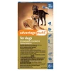 Advantage Multi Topical Solution for Dogs, 55.1-88 lbs, (Blue Box)