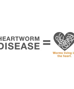 Advantage Multi Topical Solution for Dogs, 88.1-110 lbs, (Brown Box) -Elanco Sales 146322 PT3. SY630 V1561554135