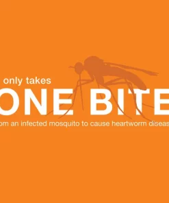 Advantage Multi Topical Solution for Dogs, 88.1-110 lbs, (Brown Box) -Elanco Sales 146322 PT4. SY630 V1561554144