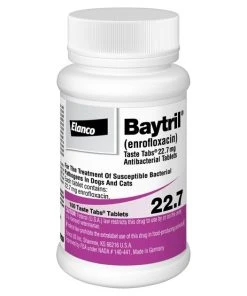 Baytril (Enrofloxacin) Tablets for Dogs & Cats