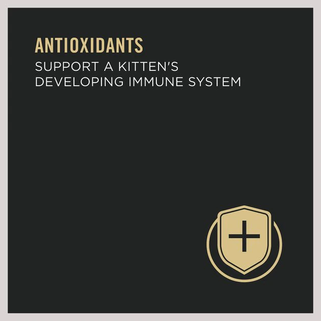 Purina Pro Plan Classic Chicken Grain-Free Kitten Entree Canned Cat Food 4 Purina Pro Plan Classic Chicken Grain-Free Kitten Entree Canned Cat Food - Image 4