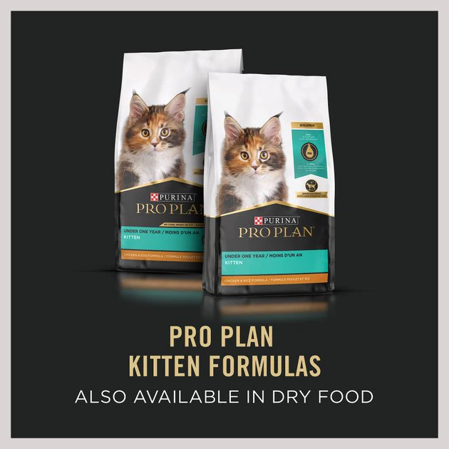 Purina Pro Plan Classic Salmon & Tuna Grain-Free Kitten Entree Canned Cat Food 7 Purina Pro Plan Classic Salmon & Tuna Grain-Free Kitten Entree Canned Cat Food - Image 7