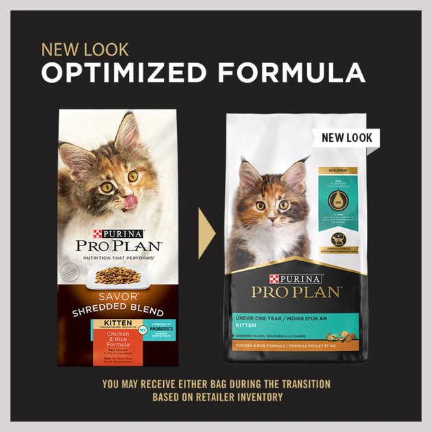 Purina Pro Plan Kitten Shredded Blend Chicken & Rice Formula Dry Cat Food 2 Purina Pro Plan Kitten Shredded Blend Chicken & Rice Formula Dry Cat Food - Image 2