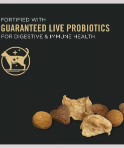 Purina Pro Plan Kitten Shredded Blend Chicken & Rice Formula Dry Cat Food 12 Purina Pro Plan Kitten Shredded Blend Chicken & Rice Formula Dry Cat Food -Elanco Sales 147944 PT3. SY630 V1649197947