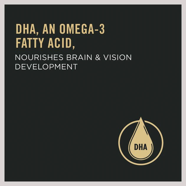 Purina Pro Plan Kitten Shredded Blend Chicken & Rice Formula Dry Cat Food 5 Purina Pro Plan Kitten Shredded Blend Chicken & Rice Formula Dry Cat Food - Image 5