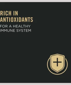 Purina Pro Plan Kitten Shredded Blend Chicken & Rice Formula Dry Cat Food 17 Purina Pro Plan Kitten Shredded Blend Chicken & Rice Formula Dry Cat Food -Elanco Sales 147944 PT8. SY630 V1649221615