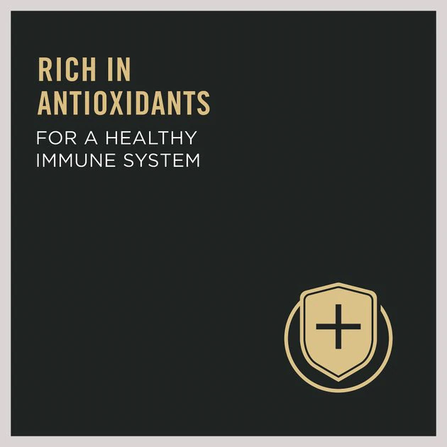 Purina Pro Plan Kitten Shredded Blend Chicken & Rice Formula Dry Cat Food 9 Purina Pro Plan Kitten Shredded Blend Chicken & Rice Formula Dry Cat Food - Image 9