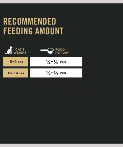 Purina Pro Plan Adult Sensitive Skin & Stomach Lamb & Rice Formula Dry Cat Food -Elanco Sales 147952 PT8. SY630 V1649228200