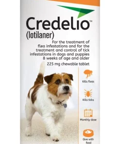 Credelio Chewable Tablet for Dogs, 12.1-25 lbs, (Orange Box)