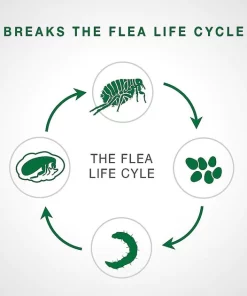 Advantage II Flea Spot Treatment for Cats, 2-5 lbs -Elanco Sales 150600 PT5. SY630 V1531943826