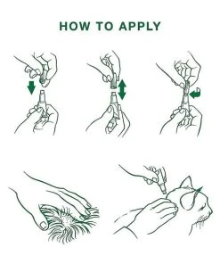 Advantage II Flea Spot Treatment for Cats, 2-5 lbs -Elanco Sales 150600 PT8. SY630 V1531943827