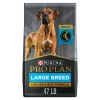 Purina Pro Plan Adult Large Breed Chicken & Rice Formula Dry Dog Food