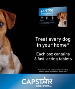 Capstar Flea Oral Treatment for Dogs, 2-25 lbs -Elanco Sales 154852 PT2. SY630 V1636564282