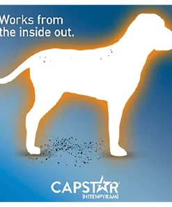 Capstar Flea Oral Treatment for Dogs, 2-25 lbs -Elanco Sales 154852 PT6. SY630 V1557155233