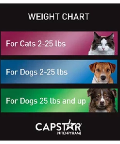 Capstar Flea Oral Treatment for Dogs, 2-25 lbs -Elanco Sales 154852 PT7. SY630 V1557155224