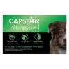 Capstar Flea Oral Treatment for Dogs, over 25 lbs