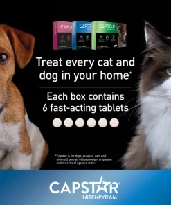 Capstar Flea Oral Treatment for Dogs, over 25 lbs -Elanco Sales 154854 PT4. SY630 V1554143624